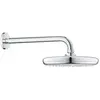 Image de Tête de douche NEW TEMPESTA CLASSIC GROHE 26412000 Ø21 cm - chrome