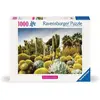 Image de Nathan Puzzle 1000 pièces The Huntington Desert Garden USA