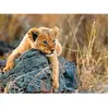 Image de Ravensburger Puzzle 200 pièces Petit lionceau