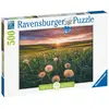 Image de Ravensburger Puzzle Pissenlits au crépuscule