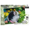 Image de Nathan Puzzle enfant Chaton curieux - 250 pièces