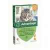 Image de Advantage 40 - Pipettes antiparasitaires - Chat/Lapin