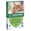 Image de Advantage 80 - Pipettes antiparasitaires - Chat/Lapin
