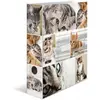 Image de Herma 7166 Multi Cartable