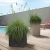 Image de Lechuza Canto Stone 30 Low - Noir Graphite