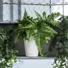 Image de LECHUZA Jardinière DELTINI - Blanc brillant