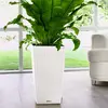Image de LECHUZA CUBICO Cottage 30 - Blanc
