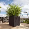 Image de LECHUZA Jardinière CUBE Moka