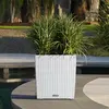 Image de Lechuza Jardinière CUBE - Blanc Plastique
