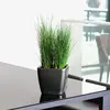 Image de Lechuza Quadro LS 48217