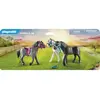 Image de PLAYMOBIL 70999 Country