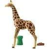 Image de Playmobil Wiltopia 71048 - Girafe