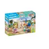 Image de Playmobil 71354 Isabella & Lioness