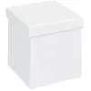 Image de Pouf Coffre Pliable Basics 38cm Blanc