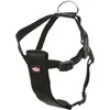 Image de harnais pour chien de voiture Trixie Noir M 1291