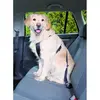 Image de TRIXIE Harnais pour voiture