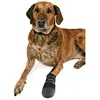 Image de Paires de protège-pattes pour chien Trixie Walker Care Noir XL 1959