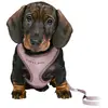 Image de Harnais pour Chien Trixie Junior Lila