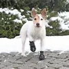 Image de Paire de protège-pattes pour chien Trixie Walker Active Noir S/M 19462