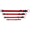 Image de Trixie Collier en nylon Premium - 22/35 cm - Rouge