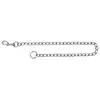 Image de Trixie Chromed Chain Dog Leash - 80 cm x 4.0 mm