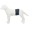Image de Couche pour chien mâle maille respirable Trixie Bleu XL 23665