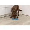 Image de Set de table pour chien en TPE Trixie Slow Feeding Bleu TU 25037