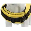 Image de Trixie Gilet de sauvetage pour chien - Taille S (35 cm)