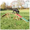 Image de Jouet pour chien - Passerelle Trixie Fun Agility Multicolore TU 32090