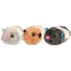 Image de TRIXIE-Jouet Chat   Trixie Jouet frétillant en peluche x1   8 cm - modèle aléatoire
