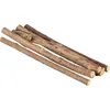 Image de Sticks à mâcher pour chat en matatabi Trixie Marron TU 42427