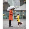Image de Imperméable pour chien Trixie Vimy Jaune XL 67978