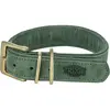 Image de Collier pour chien pure en cuir Trixie Vert L 1889034