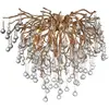 Image de Lustre en verre avec 9 ampoules G9 en laiton antique