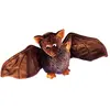 Image de Peluche chauve-souris Dragomir
