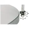 Image de Festool Fraise à moulurer S8 HW R2 - 20 mm