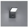 Image de LUMIERE Pearl - Anthracite