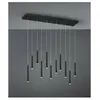Image de TRIO LIGHTING Tubular - Suspension Noir LED 22W