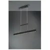 Image de Trio lighting Suspension LED PAROS - Noir