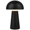 Image de Lampe extérieure portable RL Lennon noire LED 2W IP44