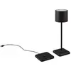 Image de Lampe extérieure portable LED IP54 FERNANDEZ noire 38cm