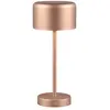 Image de Rl Lampe à poser LED tactile - Marron