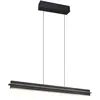 Image de Suspension LED noire moderne CCT 22W 2500 lm, dimmable tactile, 95 cm Trio EMERSON