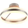 Image de Plafonnier LED anneau moderne argenté DIOS Trio 21W CCT dimmable