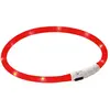 Image de Collier pour chien Led Kerbl Maxi Safe Rouge 55 cm 81191