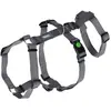 Image de Harnais pour chien Kerbl Miami Gris 38/52 cm 80040
