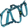 Image de Harnais pour chien Kerbl Miami Bleu 38/52 cm 80041