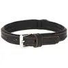Image de Collier pour chien Kerbl Vegas Noir 46/52 cm 82030