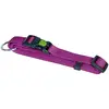 Image de Collier pour chien Kerbl Miami Violet 20/35 cm 82149