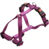 Image de Harnais pour chien Kerbl Miami Violet 55/76 cm 82159